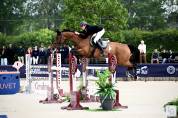 Jument 9ans (kannan x Drakkar des Hutins) potentiel 145