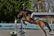 Jument 9ans (kannan x Drakkar des Hutins) potentiel 145