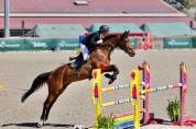 Jument 9ans (kannan x Drakkar des Hutins) potentiel 145