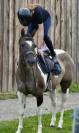 Cavalla Paint Horse In vendita 2015 Paint