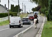 Cavalla Paint Horse In vendita 2015 Paint