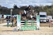 Mare French Saddle Pony For sale 2016 Grey