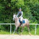 Mare Other Horse Breed For sale 2016 Grey