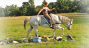 Gelding AQPS For sale 2015 Grey