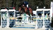Hongre 13 ans  - SBS - 1M76 - CSO 125/135 