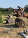 poney a vendre 