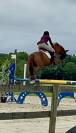 Poney potentiel gd prix