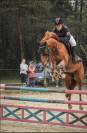 Poney potentiel gd prix