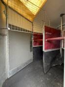 Horse trailer Ifor Williams  2 Stalls 2001 Used