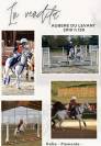 Pony welsh (sez b) 2010 h130