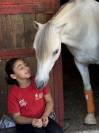 Pony welsh (sez b) 2010 h130