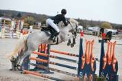 Cheval pour CSO/CCE amateur 