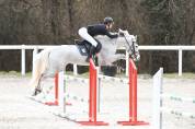Cheval pour CSO/CCE amateur 