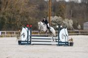 Cheval pour CSO/CCE amateur 