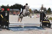 Cheval pour CSO/CCE amateur 