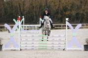 Cheval pour CSO/CCE amateur 