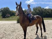 Demi-pension dressage 
