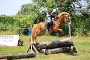 Pony da completo 4anni