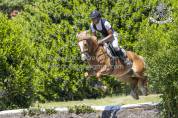 Pony da completo 4anni