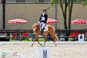 Pony da completo 4anni