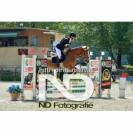 Pony da completo 4anni