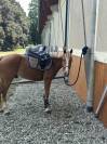 Pony da completo 4anni