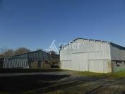 Explotación ovina En venta Maine y Loira
