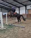 Location pour valorisation en circuit jeunes chevaux 