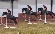 Location pour valorisation en circuit jeunes chevaux 