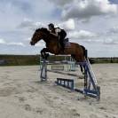 Cheval SF 9ans à vendre