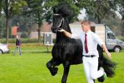 etalon frison 