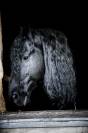 etalon frison 