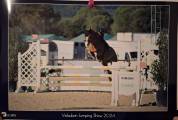 PONEY PFS 10 ANS - POUR AS