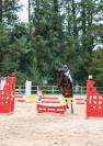 Cheval à prendre en dp/confiage 