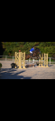 Cheval à prendre en dp/confiage 