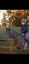 Cheval à prendre en dp/confiage 