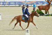 Ponette de sport 