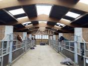 Haras d'&eacute;levage - Centre d'entrainement