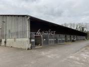 Haras d'&eacute;levage - Centre d'entrainement