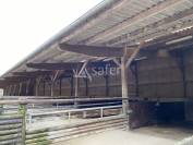 Haras d'&eacute;levage - Centre d'entrainement