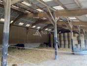 Haras d'&eacute;levage - Centre d'entrainement