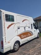 Camion chevaux 