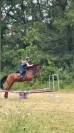 zangersheide 14 ans 