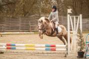 Ponette B 1M27 polyvalente 8 ans