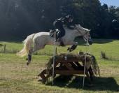 Top jument 6 ans - classée Amateur 1 CCE