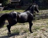 Looking for a new challenge? Meet handsome Jack?