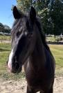 Looking for a new challenge? Meet handsome Jack?