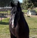 Looking for a new challenge? Meet handsome Jack?