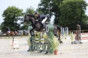 Cheval SF x KWPN
