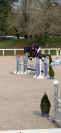 Cheval SF x KWPN